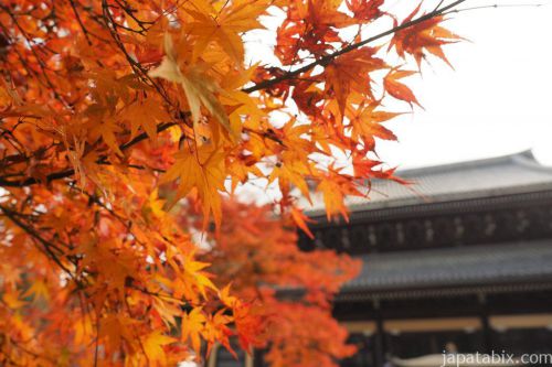 【秋の京都】南禅寺の紅葉情報！見頃と見所を紹介します！
