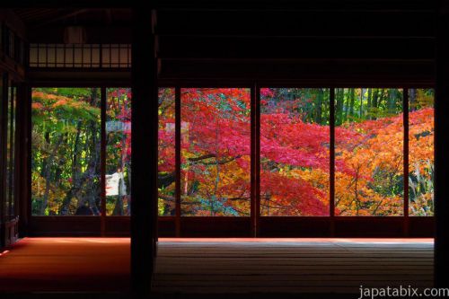 【秋の京都】天授庵の紅葉情報！ライトアップや見頃、見どころを紹介します！