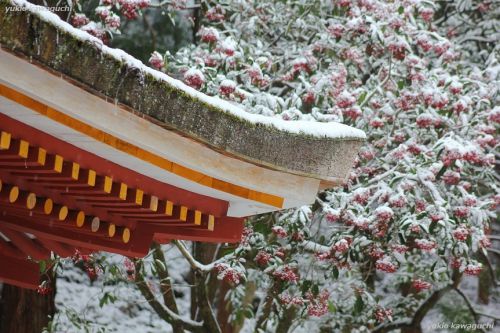 雪景色の室生寺 No.30　（ 五重塔 ） 　[ 奈良・大和路の名刹 探訪！ 女人高野　室生寺 （ Murouji-temple ） No.123 ]