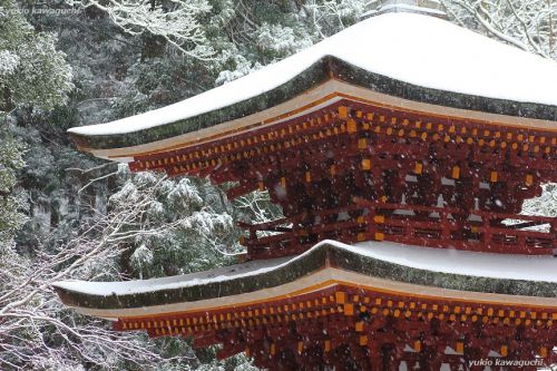 雪景色の室生寺 No.31　（ 五重塔 ） 　[ 奈良・大和路の名刹 探訪！ 女人高野　室生寺 （ Murouji-temple ） No.124 ]