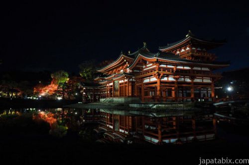 【秋の京都】平等院鳳凰堂の紅葉！ライトアップ情報や混雑状況をご紹介！