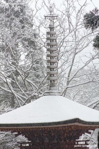 雪景色の室生寺 No.32　（ 五重塔 ） 　[ 奈良・大和路の名刹 探訪！ 女人高野　室生寺 （ Murouji-temple ） No.125 ]