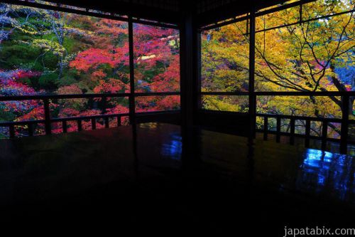 【2018 秋の京都】瑠璃光院の紅葉！今年の見頃と混雑回避するには？周辺スポットもご紹介！