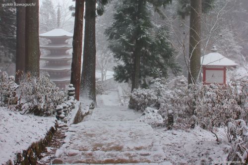 雪景色の室生寺 No.33　（ 五重塔 ） 　[ 奈良・大和路の名刹 探訪！ 女人高野　室生寺 （ Murouji-temple ） No.126 ]