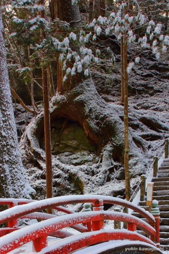 雪景色の室生寺 No.34　（ 奥の院 参道 無明橋 付近 ） 　[ 奈良・大和路の名刹 探訪！ 女人高野　室生寺 （ Murouji-temple ） No.127 ]