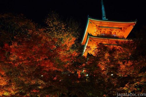 【2018 秋の京都】清水寺の紅葉情報！アクセス方法や拝観時間・料金などご紹介！