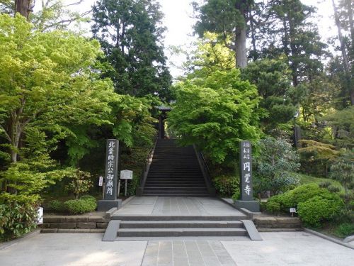 【春の鎌倉】新緑の円覚寺と国宝・舎利殿