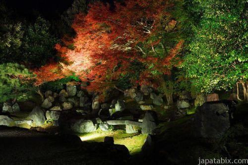 【2018 秋の京都】圓徳院の紅葉情報！北庭のライトアップなど見どころをご紹介！