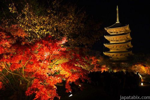 【2018 秋の京都】『東寺』の紅葉情報！五重塔のライトアップなど見どころご紹介！
