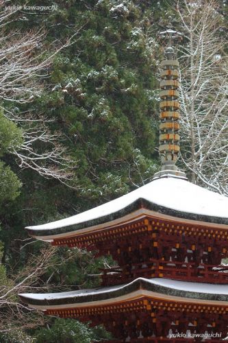 雪景色の室生寺 No.42　（ 五重塔 ） 　[ 奈良・大和路の名刹 探訪！ 女人高野　室生寺 （ Murouji-temple ） No.135 ]