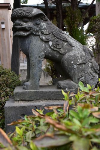 大松氷川神社の狛犬達