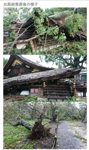 台風２１号で被害、桜の名所の京都・平野神社で義援金呼びかけるコンサート