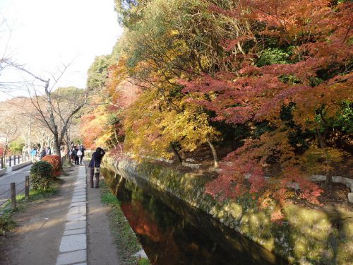 京都の紅葉・哲学の道（安楽寺・法然院・真如堂）
