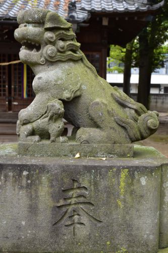 栗原氷川神社の狛犬達