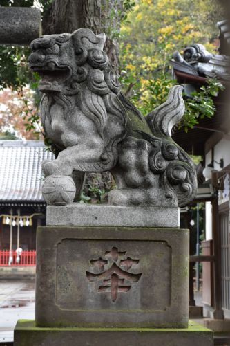 中町天祖神社の狛犬達