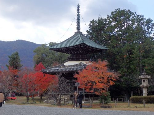 京都・清涼寺（嵯峨釈迦堂）の紅葉