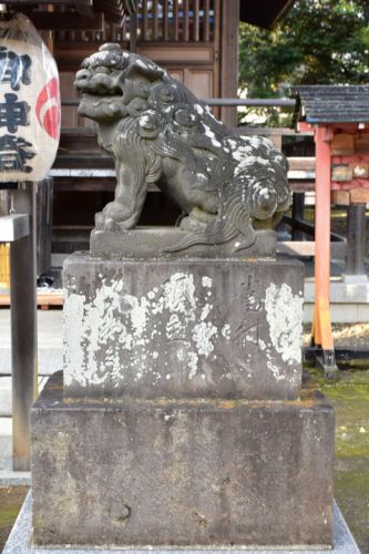 練馬白山神社の狛犬達