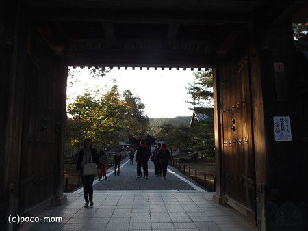 銀閣寺（ 鹿苑寺 ）　ぶらマムならぬ、駆け白マム　2018.10.21  