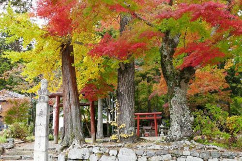 高野山・愛宕神社の紅葉