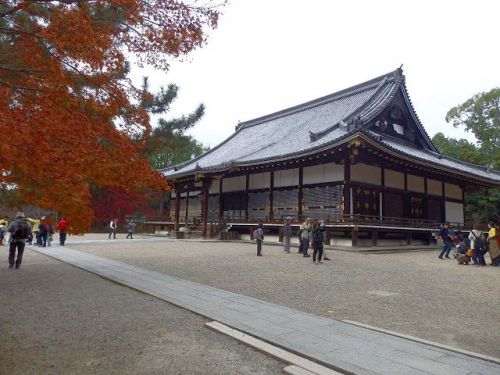 京都・仁和寺、きぬかけの道の紅葉