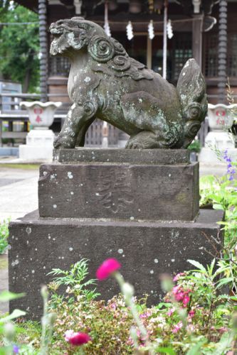 南田中稲荷天祖神社の狛犬達