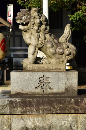 関前八幡神社の狛犬達