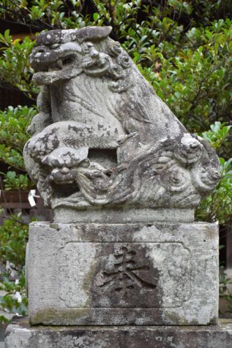 二宮神社の狛犬達
