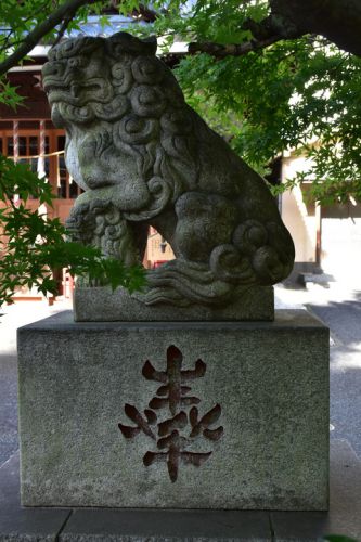 江島杉山神社の狛犬達