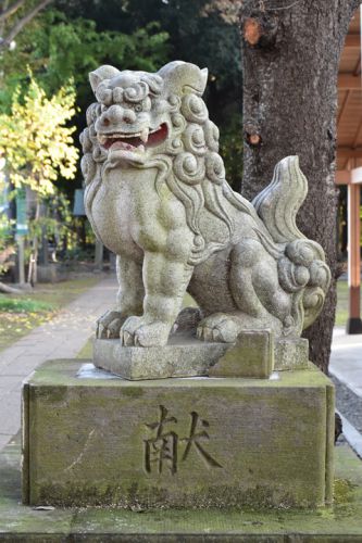 阿波洲神社の狛犬達