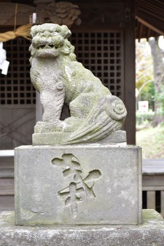 東水元熊野神社の狛犬達