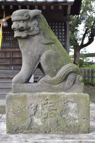 中川氷川神社の狛犬達