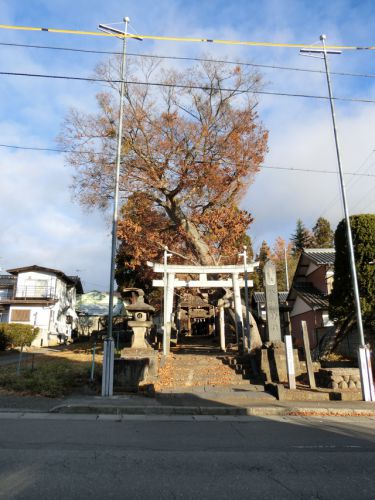 2018/11/24(土) 八幡神社 佐久市 長野県