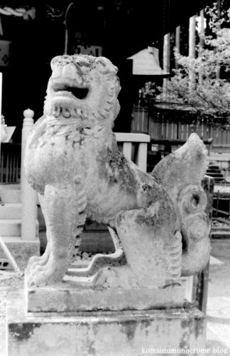 狛犬たちのモノローグ　　File762　　志波彦神社