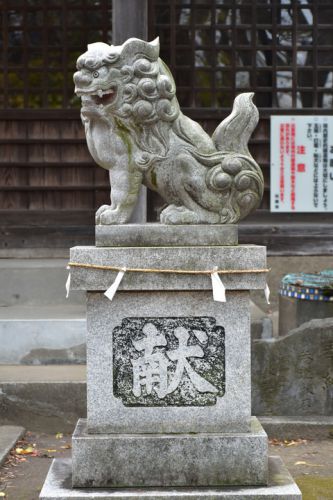 駒井日枝神社の狛犬達
