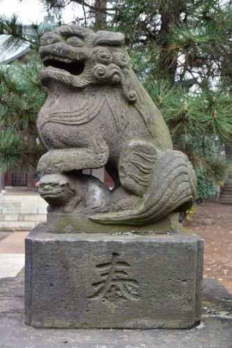 門前氷川神社の狛犬達