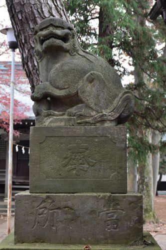 神山氷川神社の狛犬達