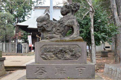 【狛犬再訪ギャラリー】下保谷天神社の狛犬達