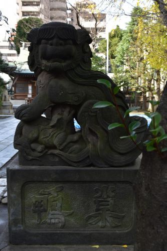 大塚天祖神社の狛犬達