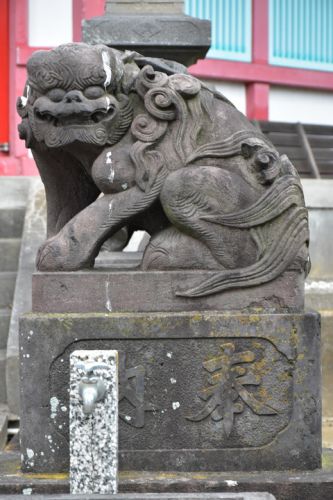 正覚寺の狛犬達