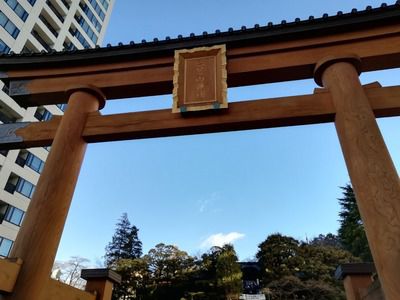 宇都宮二荒山神社(2019年初詣)