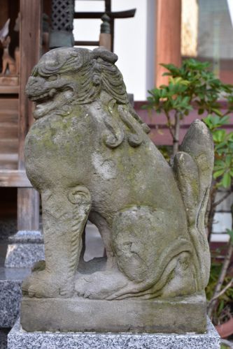 日比谷神社の狛犬達