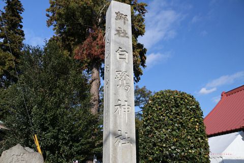 神社巡り　白鷺神社（栃木県上三川町）