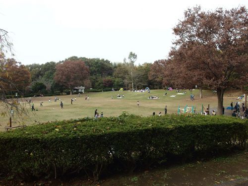 王禅寺ふるさと公園 - 川崎市の市制60周年を記念して造られた、自然を活かした公園