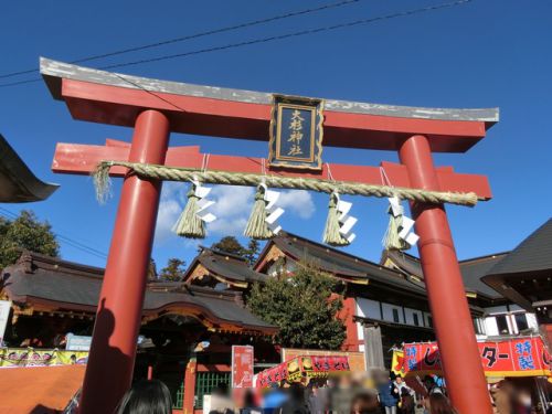  2019/01/03(木)大杉神社 茨城県