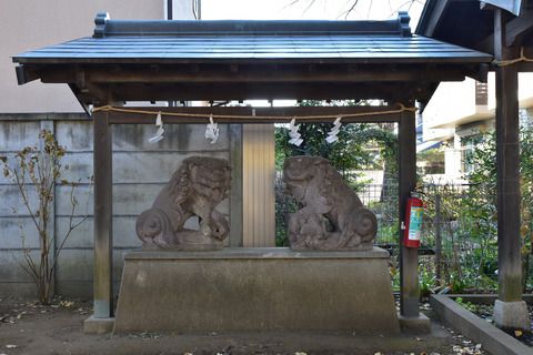 石神井神社の狛犬達