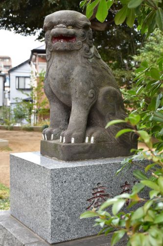 入谷氷川神社の狛犬達