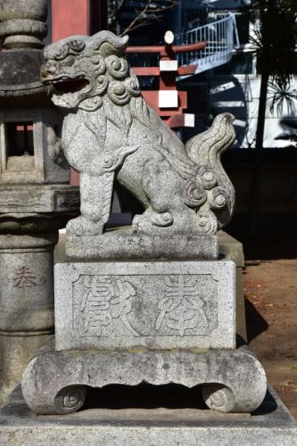 羽村市護国神社の狛犬達