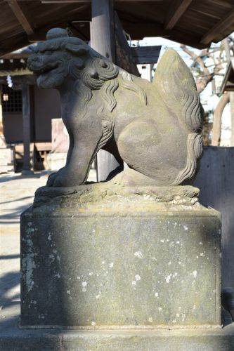 上小岩天祖神社の狛犬達