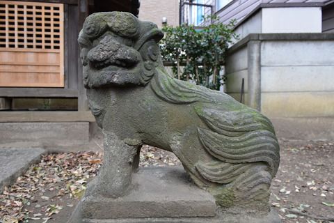舎人氷川神社の狛犬達