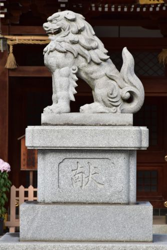 立川諏訪神社の狛犬達
